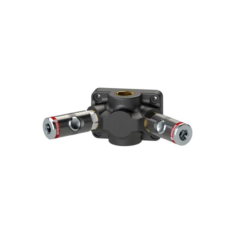 RIEGLER Endvert.dose, 2 Sicherheitskupplungen NW7,4, G1/2, max. 12 bar