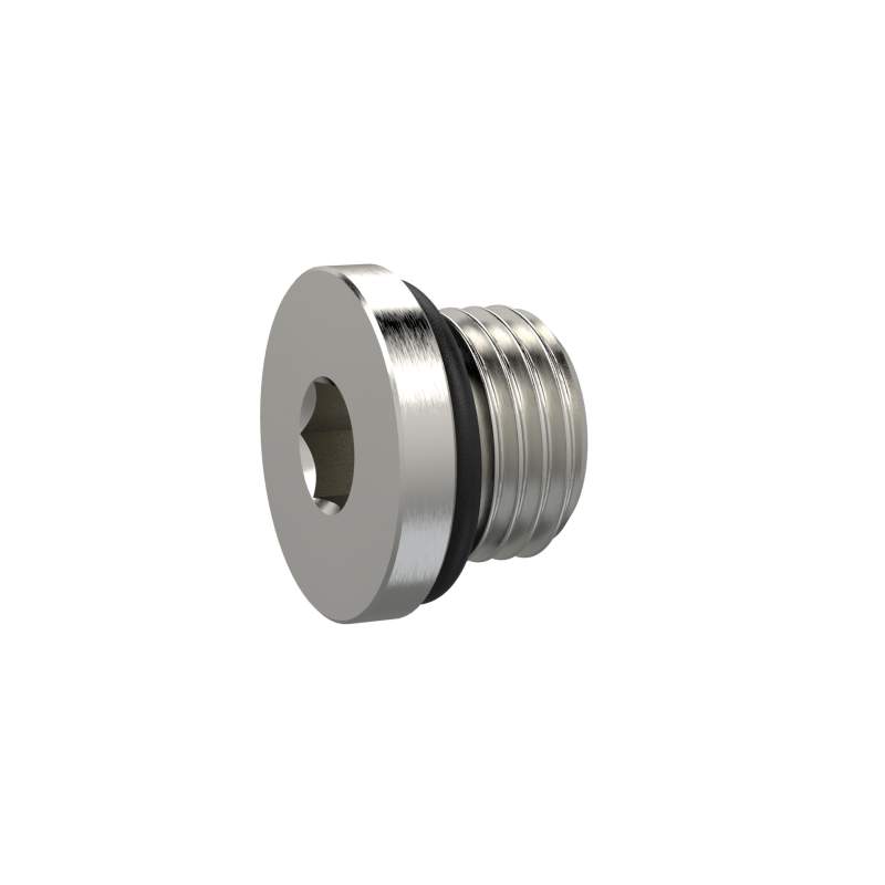 RIEGLER Verschlussschraube, Innensechskant 2,5 mm, M5, NBR O-Ring, MSN