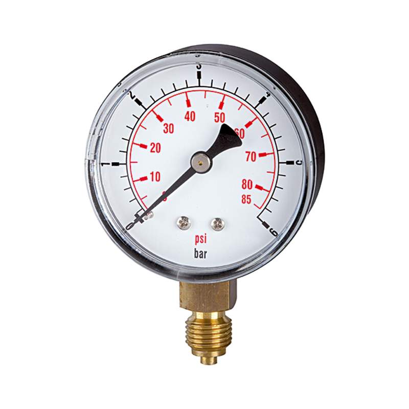 RIEGLER Standardmano »pressure line«, G 1/4 unten, 0-2,5 bar/36 psi, Ø 63