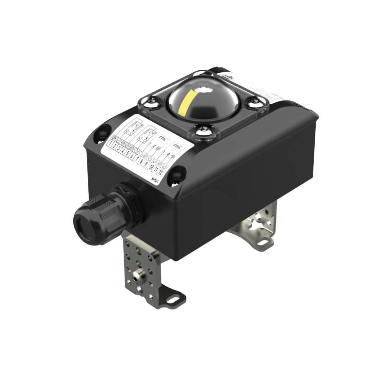 RIEGLER Endlagen-Rückmeldung Aluminium, Mikroschalter, 12-250V AC/DC