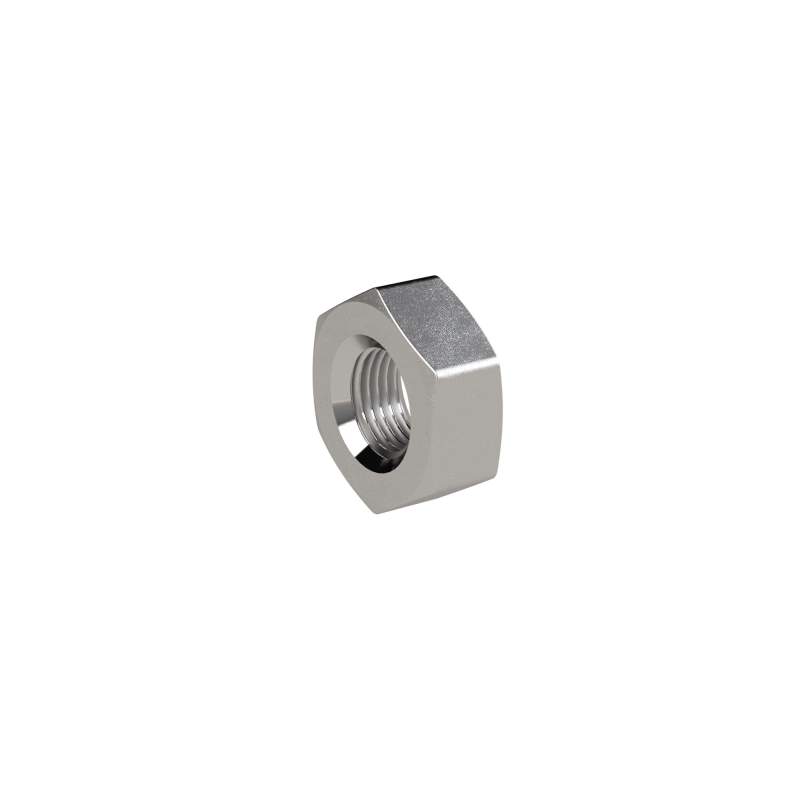 RIEGLER Sechskant-Gegenmutter, G 1 1/4, IG, SW 55, ES 1.4408