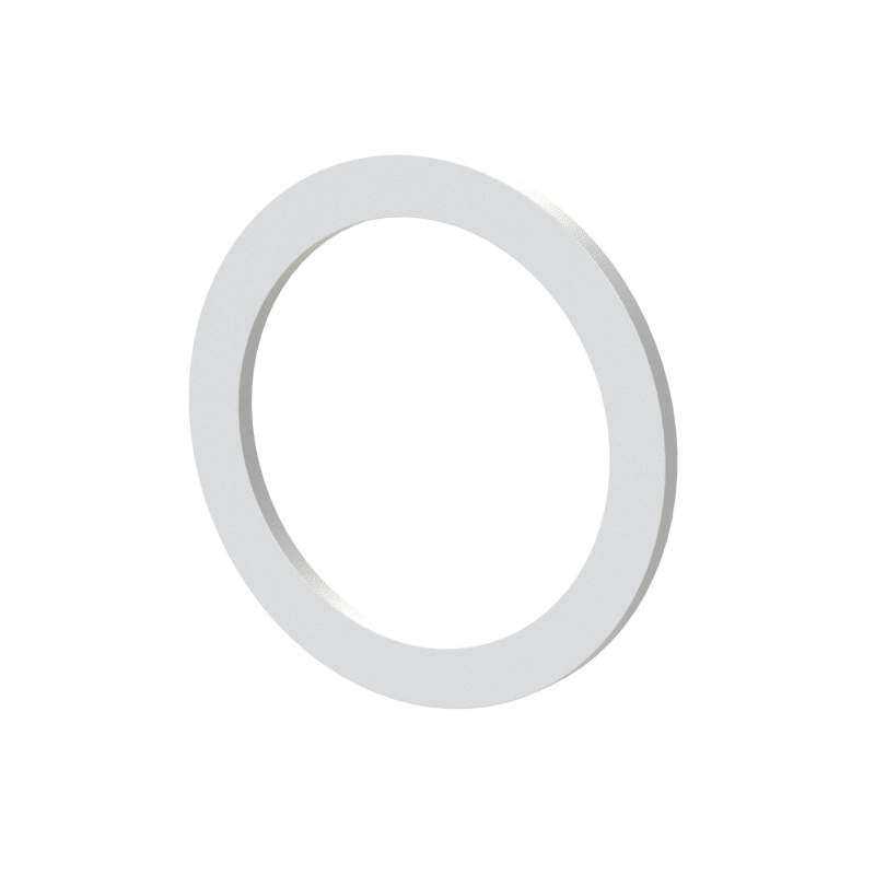 RIEGLER Flachdichtung aus PTFE Gr. 2