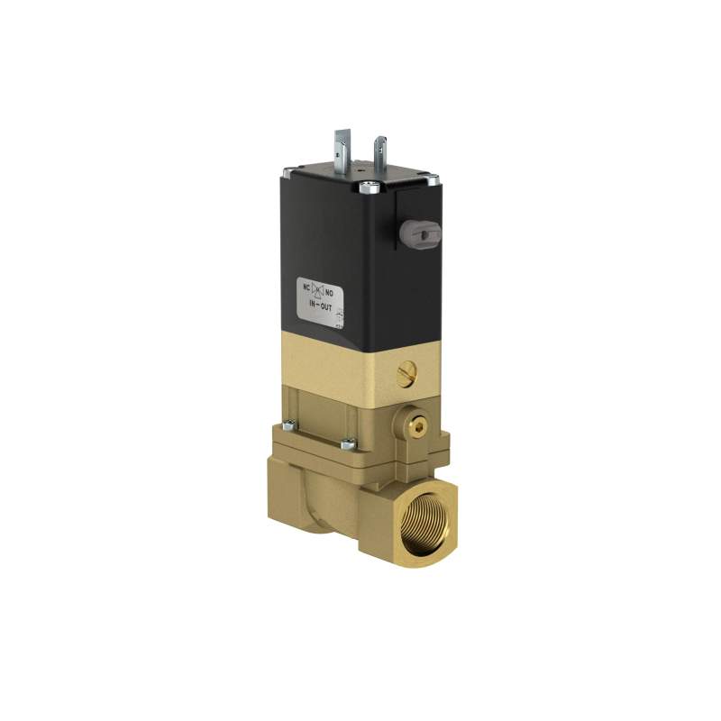 RIEGLER 2/2 We-MV, NC, MS, G 1 1/2, DN 40, PN 0,2-10, NBR, vorge. 24V AC