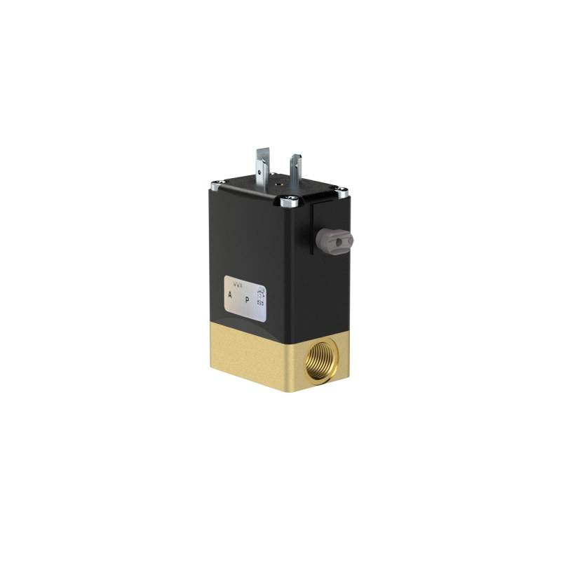 RIEGLER 2/2 We-MV, NO, MS, G 1/4, DN 4,0, PN 0-5, FPM, direktg. 12V DC