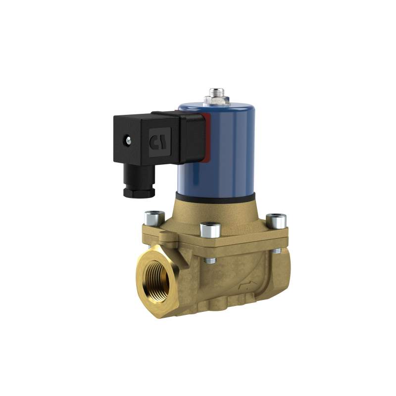 RIEGLER 2/2 MV, NC, MS, G 2, DN50, PN 0-12, FPM, zwangsg., 110V AC