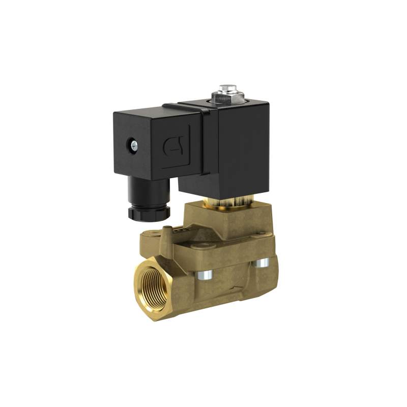 RIEGLER 2/2 MV, NO, MS, G 2, DN50, PN 0,5-10, NBR, vorgest., 110V AC