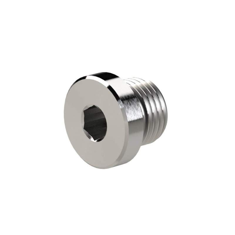 RIEGLER Verschlussschraube »NonPlusUltra«, ISK, G3/8, SW8, VPE10