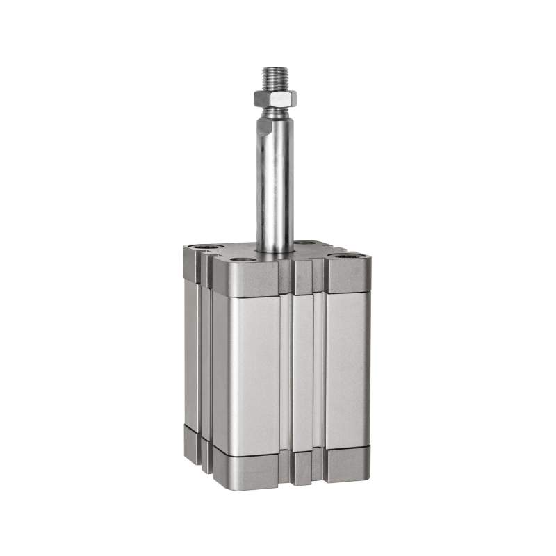 RIEGLER Kompaktzyl.,  einfachw., AG, ausgef., Ø80, Hub10, G1/8, ISO21287