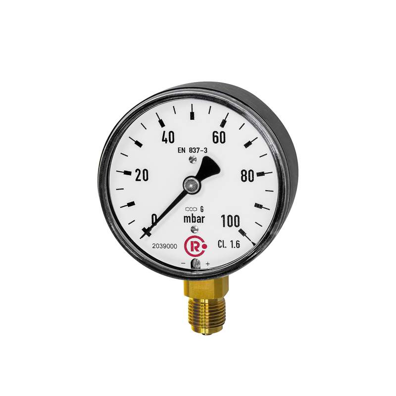 RIEGLER Kapselfedermanometer, G 1/4 radial unten, -60 / 0 mbar, Ø 63
