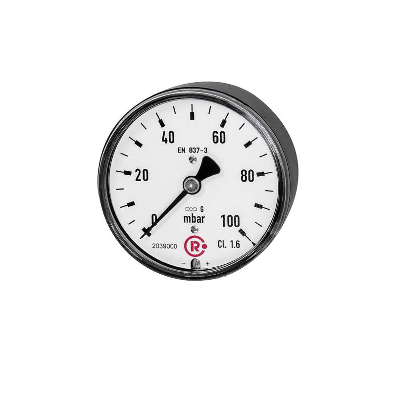 RIEGLER Kapselfedermanometer, G 1/4 hinten zentrisch, 0 - 160 mbar, Ø 63