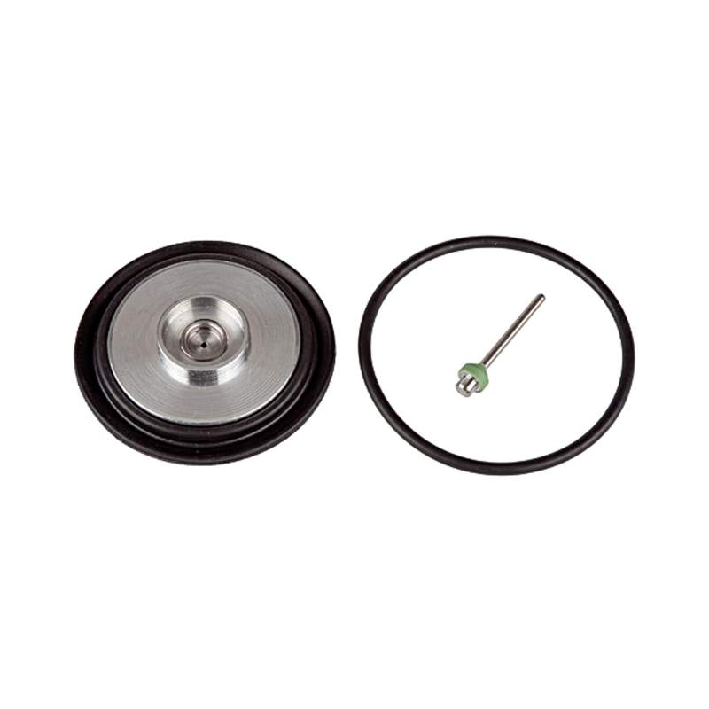 RIEGLER Verschleißteilesatz: Membrane, Ventilkegel, Ventilsitz, O-Ring