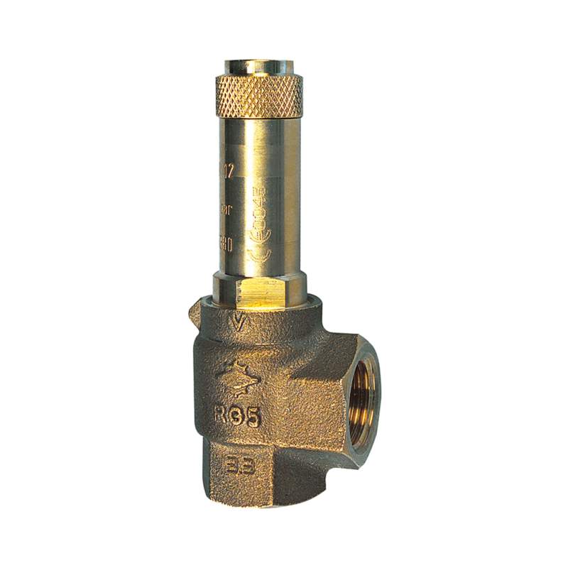 RIEGLER Eck-Sicherheitsventil, Sattdampf, G 3/4, Ansprechdruck 20 bar