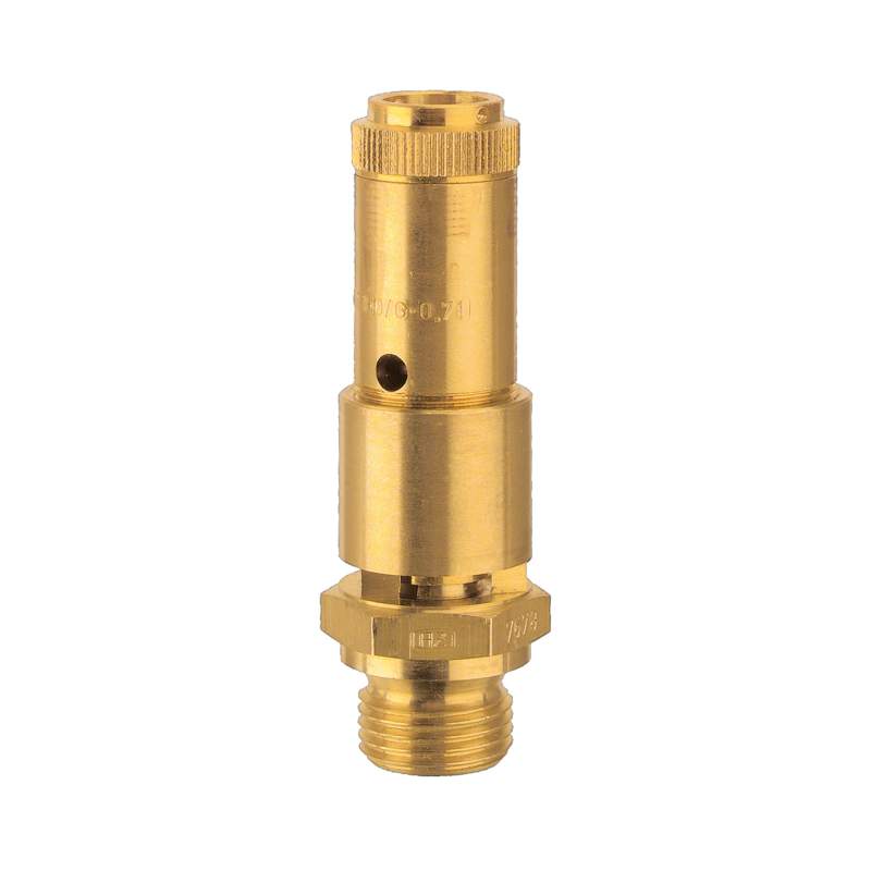 RIEGLER Sicherheitsventil DN 10, Messing, G 3/8, Ansprechdruck 0,8 bar