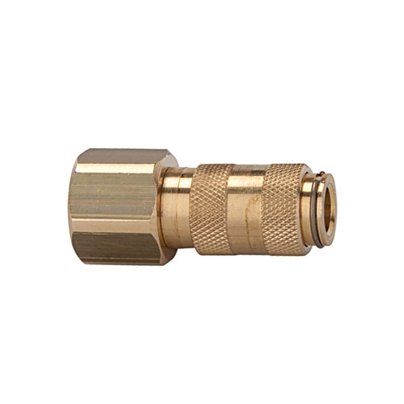 RIEGLER Schnellverschlusskupplung NW 2,7, Messing blank, M5 IG