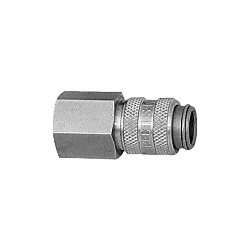 RIEGLER Schnellverschlusskupplung NW 5, Edelstahl 1.4305, G 1/4 IG