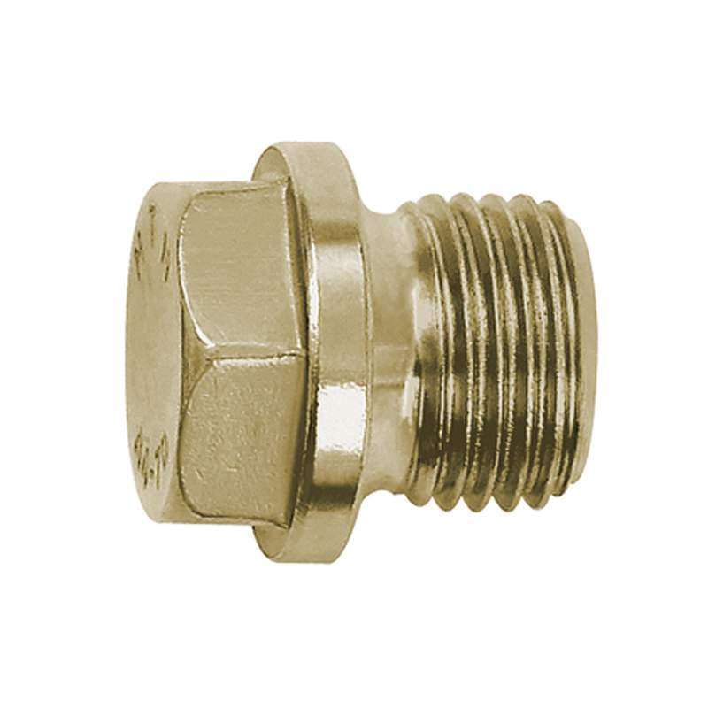 RIEGLER Verschlussschraube, Außensechskant, Bund, G 1/2, SW 19, ES 1.4571