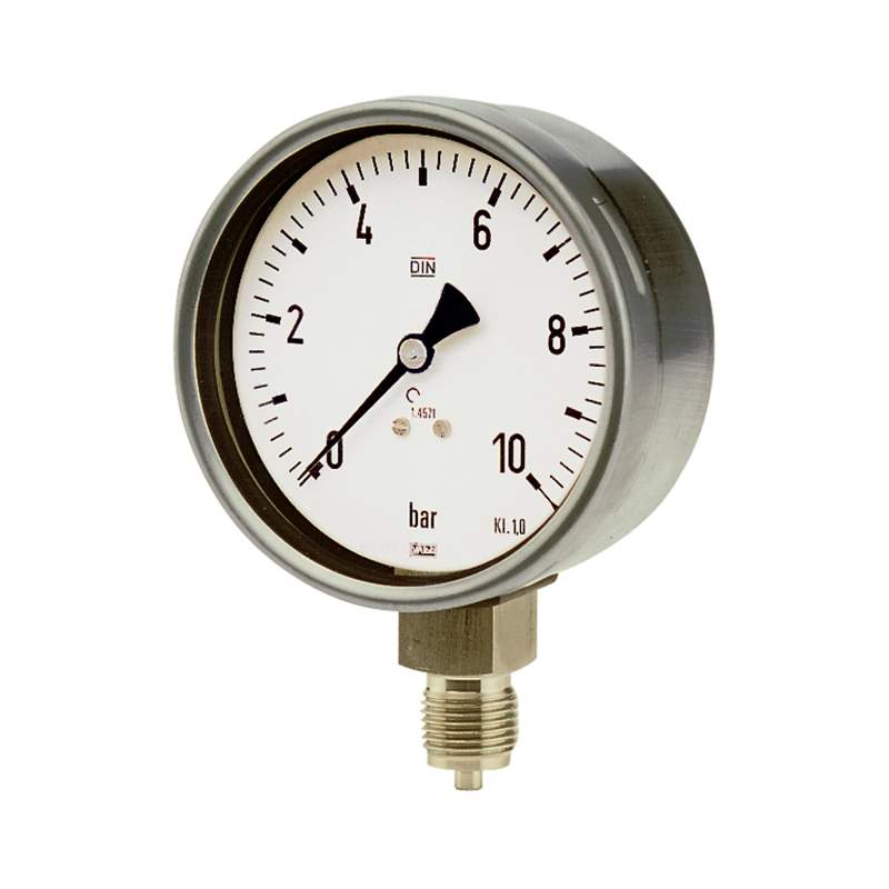 RIEGLER Manometer, CrNi-Stahl, G 1/2 radial unten, 0 - 60,0 bar, Ø 100