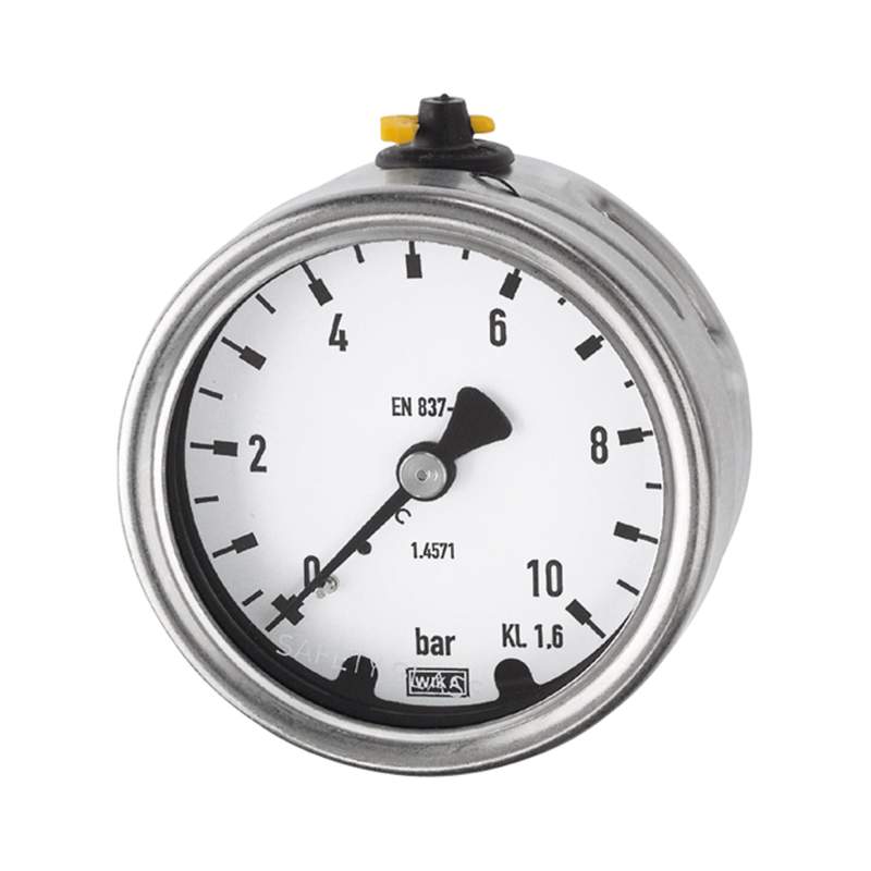 RIEGLER Manometer, CrNi-Stahl, G 1/4 hinten zentrisch, -1 / 0,0 bar, Ø 63