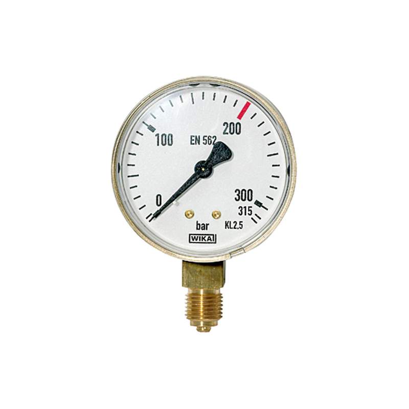 RIEGLER Manometer neutrale Gase, G 1/4 radial unten, 0 -315 bar, Ø 63
