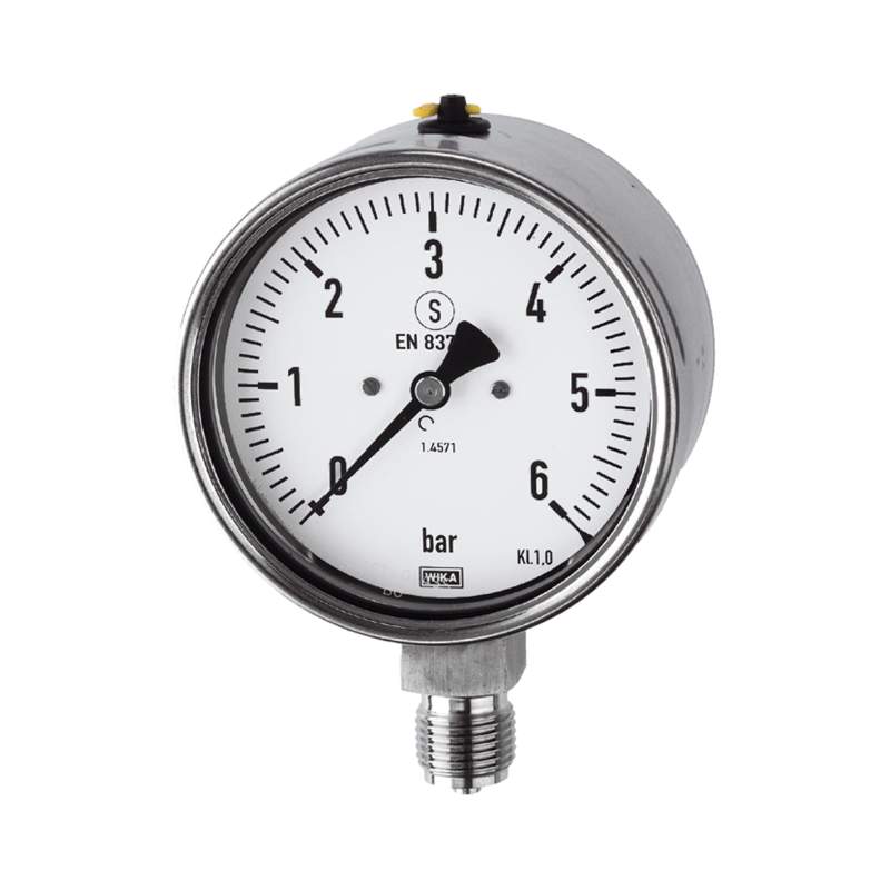 RIEGLER Mano, CrNi-Stahl, Sicherh., G 1/2 radial unten, 0-6,0 bar, Ø 100