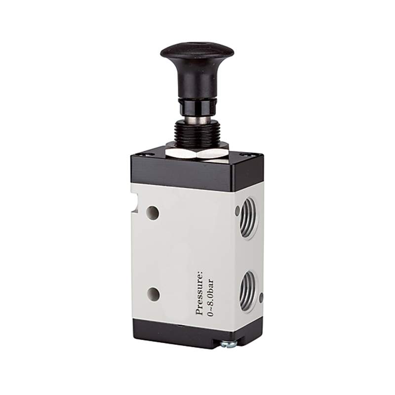RIEGLER 5/2-Wegeventil, Druckknopfbetätigung, »3L«, G 1/4, 1300l/min