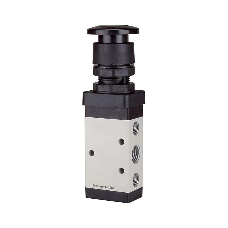 RIEGLER 5/2-Wegeventil, manuell »M5«, Pilztaster, monostabil, G 1/8, schw