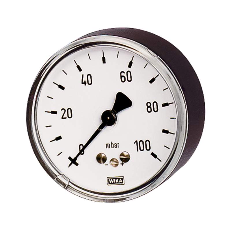RIEGLER Kapselfedermanometer, G 1/2 hinten exzentr., 0 - 250 mbar, Ø 100