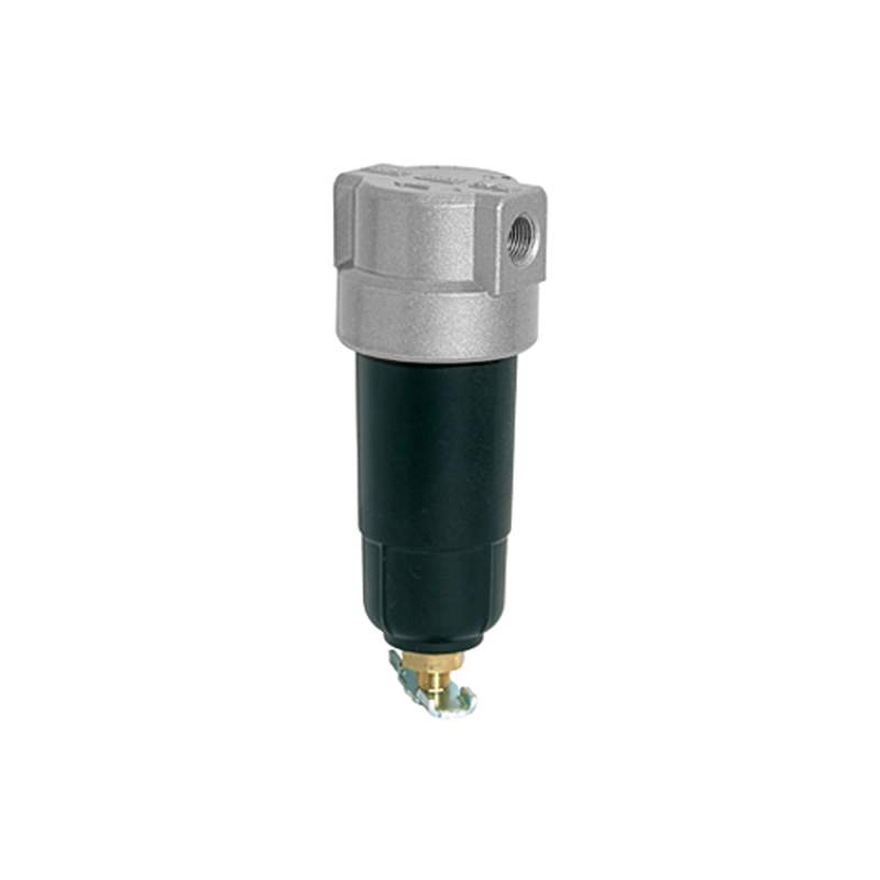 RIEGLER Filter »Standard-mini«, mit Metallbehälter, 8 µm, BG 0, G 1/4