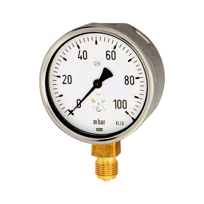 RIEGLER Kapselfedermanometer, G 1/2 radial unten, 0 - 100 mbar, Ø 100