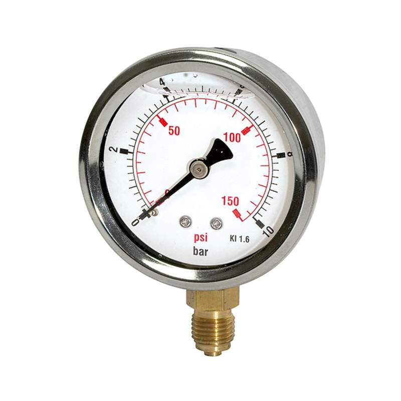 RIEGLER Glyzerinmano »pressure line« G 1/4 unten, 0-60,0 bar/850 psi, Ø63