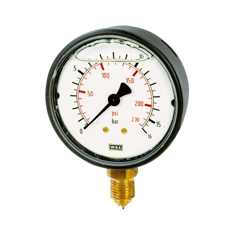 RIEGLER Glyzerinmanometer, Kunststoff, G 1/4 unten, 0 - 100,0 bar, Ø 63