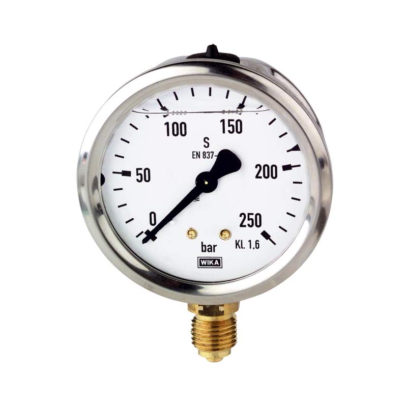 RIEGLER Glyzerinmanometer, CrNi-Stahl, G 1/4 unten, 0 - 25,0 bar, Ø 63