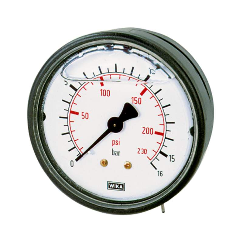 RIEGLER Glyzerinmano., Kunststoff, G 1/4 hinten zentr., -1/+0,6 bar, Ø 63