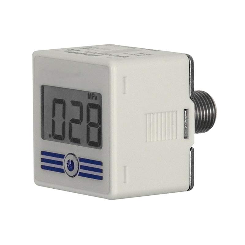 RIEGLER Digitalmanometer mit Hintergrundbeleuchtung, 0-10 bar, R 1/4 AG