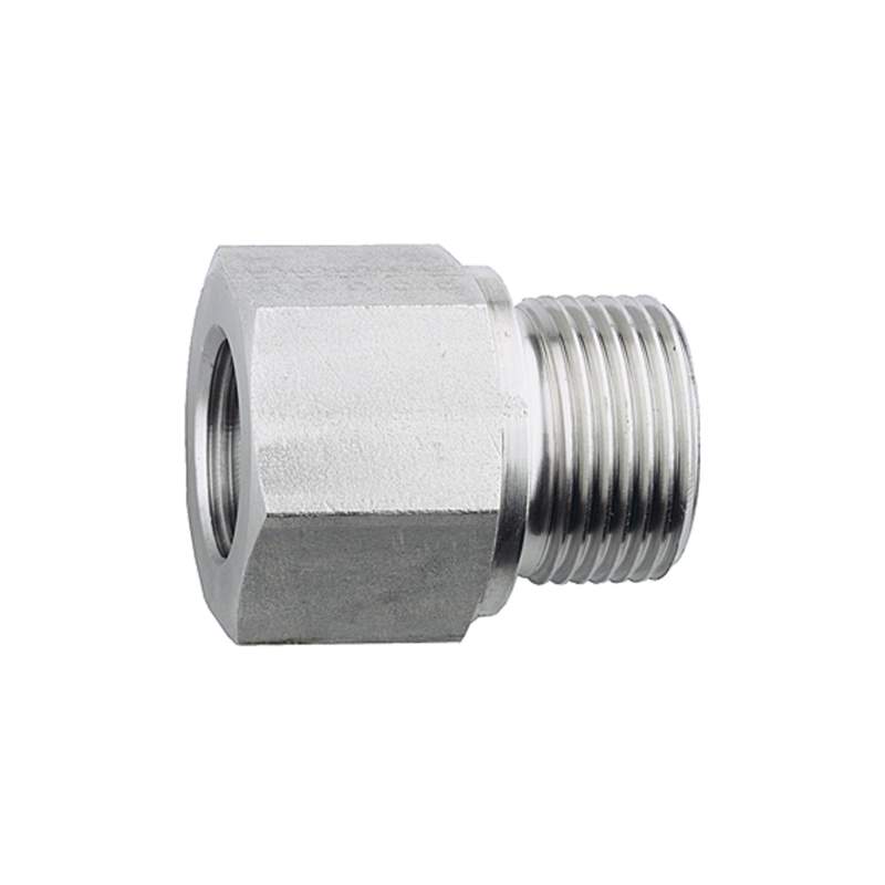 RIEGLER Lange Wechselreduzierung, G 1/4 a., G 1/8 i., Edelstahl 1.4571