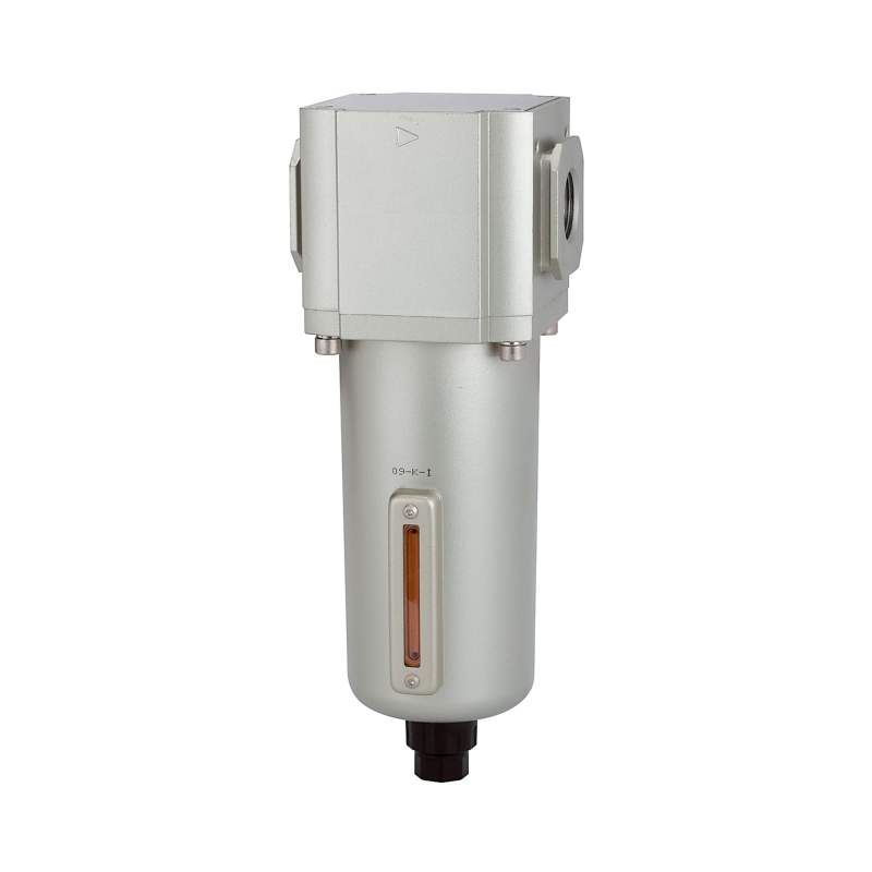 RIEGLER Filter »G« mit Metallbehälter, 5 µm, BG 600, G 1, Ablass: VA