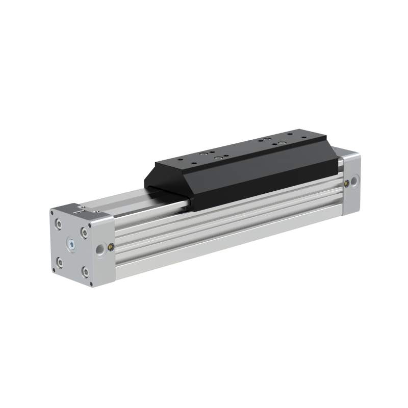 RIEGLER Kolbenstangenloser Zylinder ZRL1S, Ø 50, Hub 100, Standard