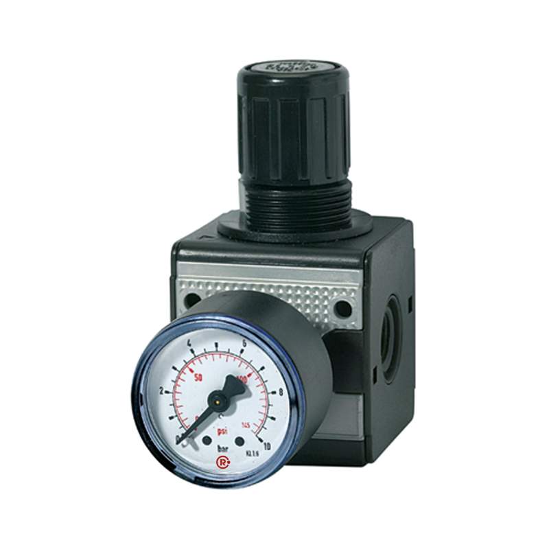 RIEGLER Druckregler »multifix«, inkl. Manometer, BG 1, G 1/4, 0,5 -10 bar