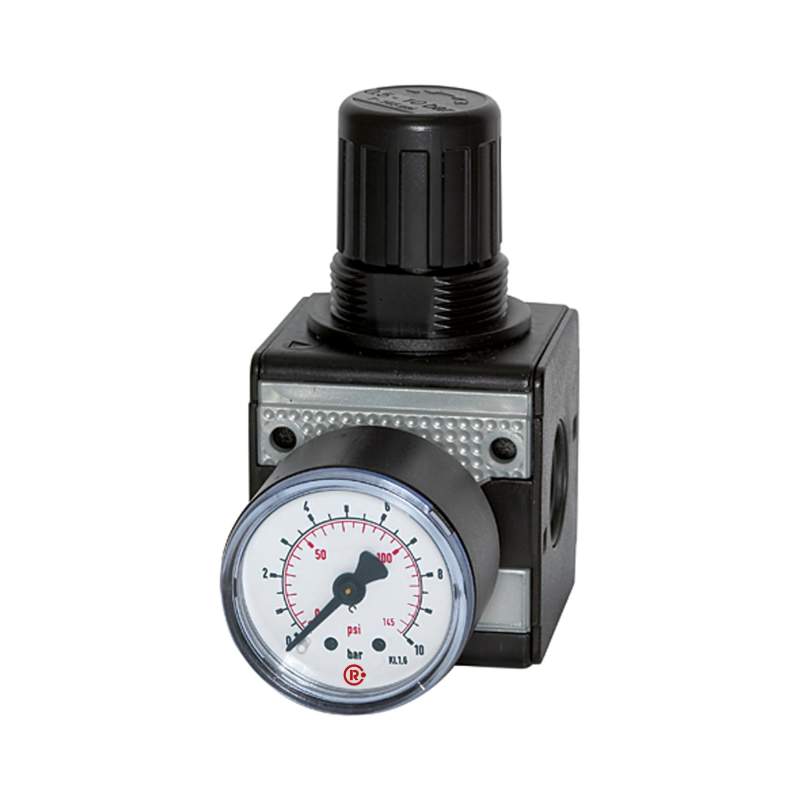 RIEGLER Präzisionsdruckregler »multifix«, BG 1, G 1/4, 0,2 - 6 bar