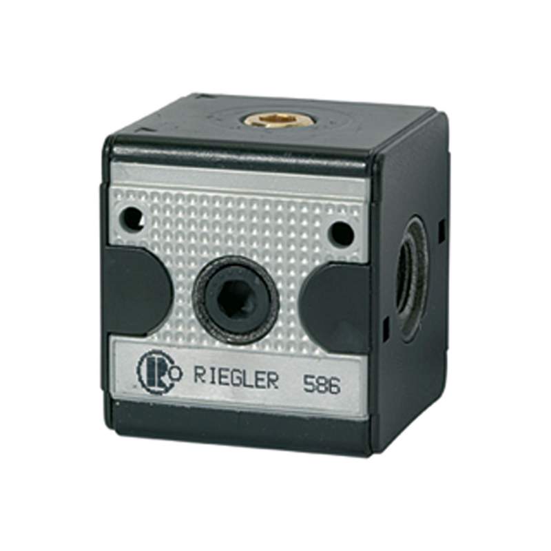 RIEGLER Rückschlagventil »multifix«, BG 1, G 3/8